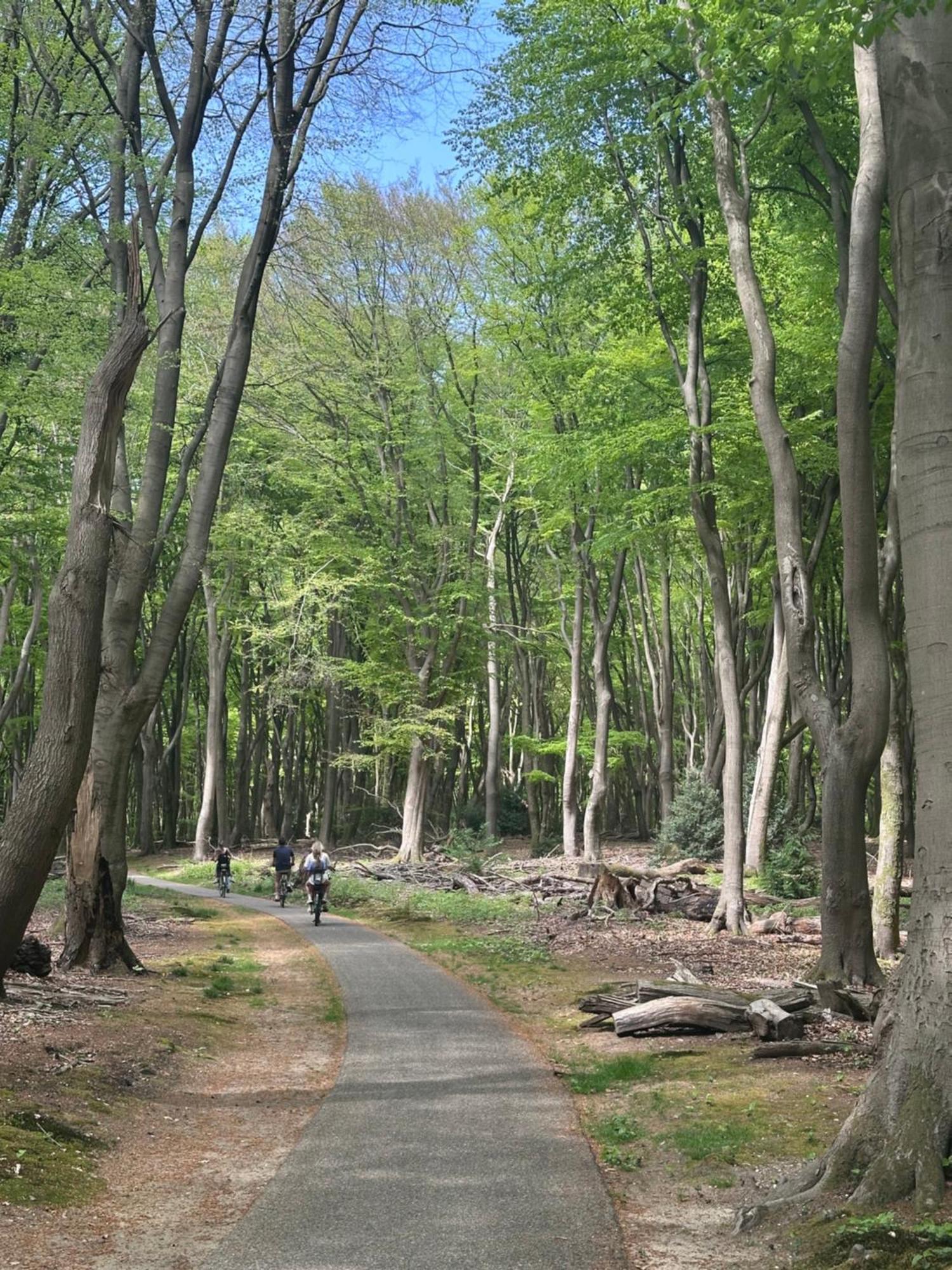 Heerlijk Chalet Midden In De Natuur Putten Dış mekan fotoğraf